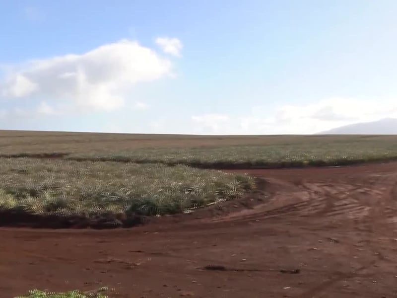 Wahiawa residents spoke out against a proposed landfill on agricultural land during a town hall.
