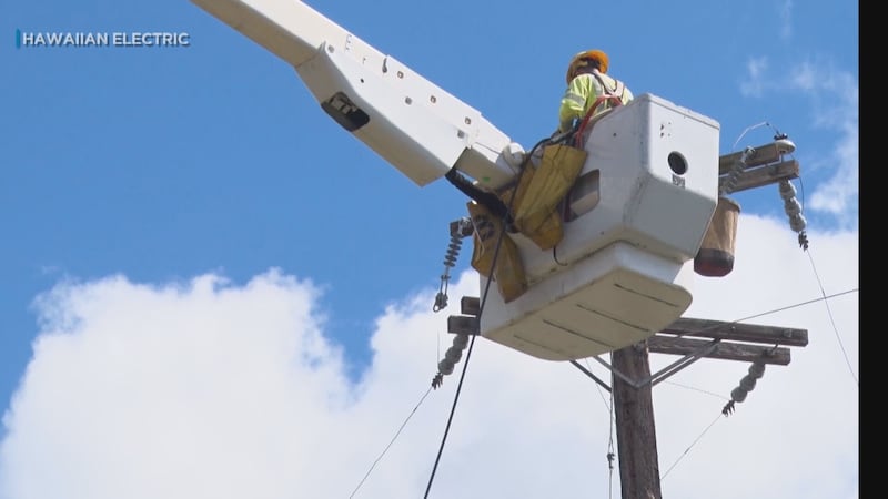 HECO said in a statement today that the plan includes technical and infrastructure upgrades...