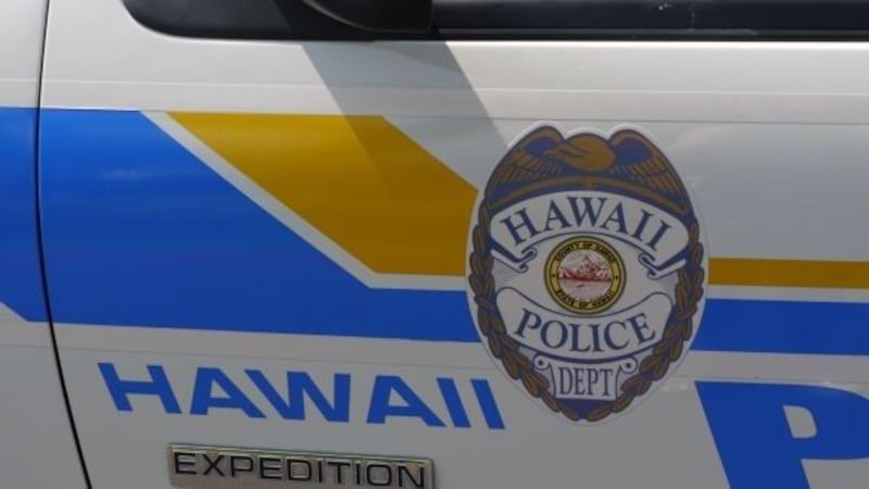 Hawaii County Police identify apparent drowning victim (FILE IMAGE)