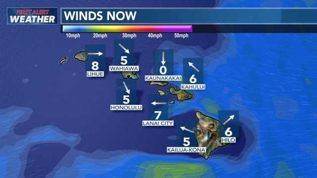 Wind Speed and Direction