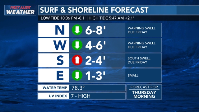 Surf Report