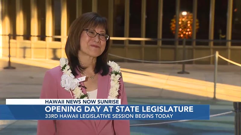 State Rep. Nadine K. Nakamura addresses some of her top priorities this session. These include...